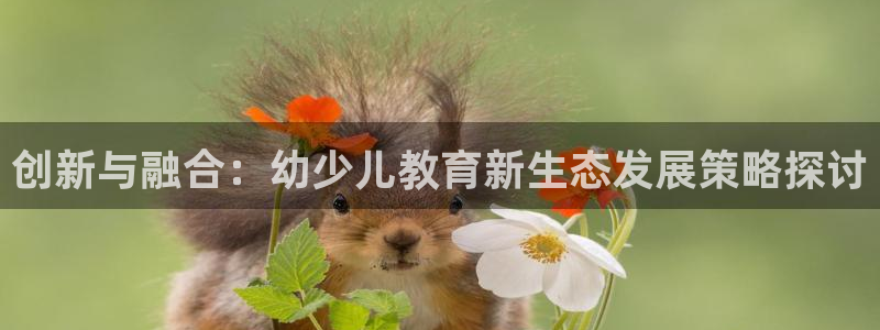 鸿运电商平台茶