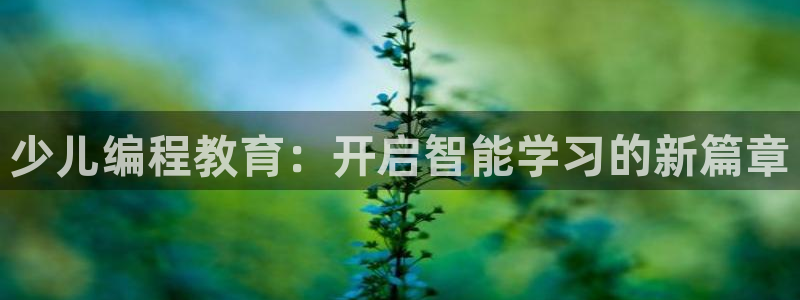 鸿运到平台在线客服