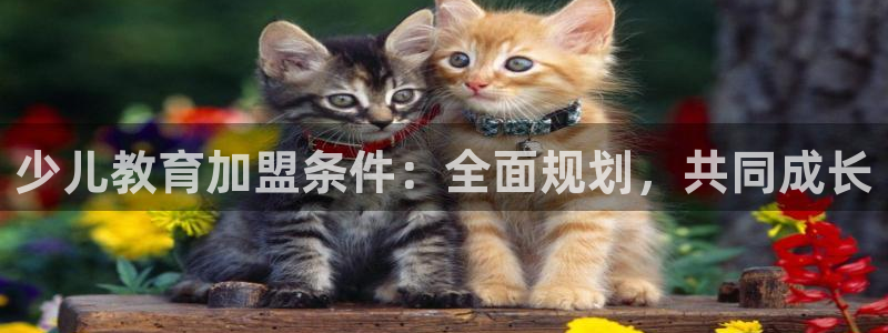 鸿运自助卡密平台