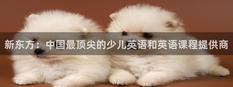 鸿运挖矿平台注册