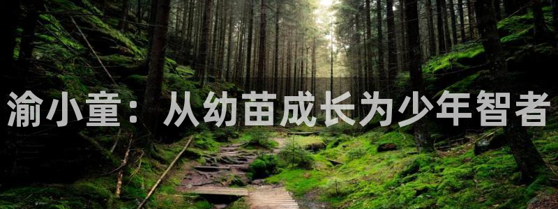 鸿运物流诚信经营平台