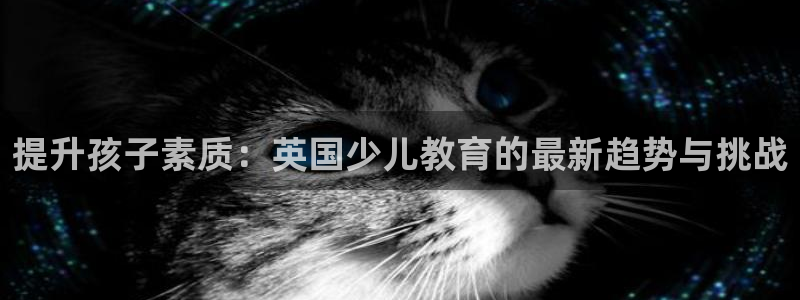 鸿运聊天计划平台