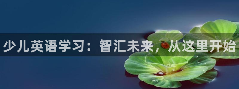 鸿运商滴管理平台