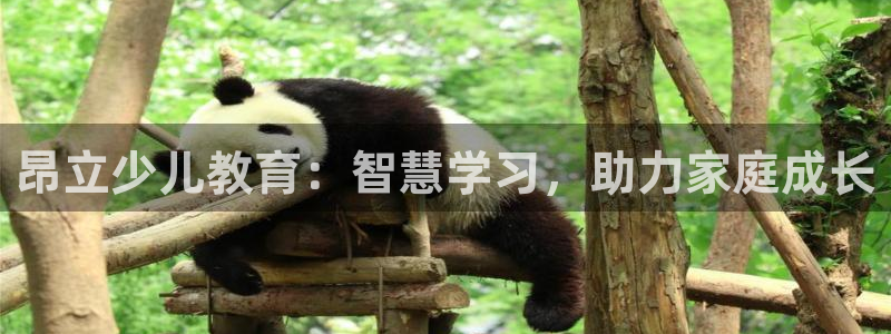 焦作鸿运团体直播平台