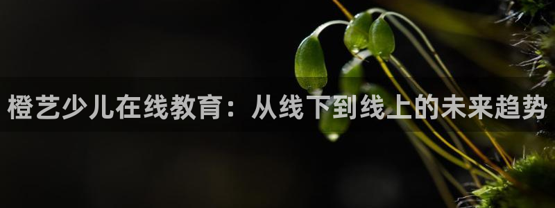 铜陵鸿运拍卖平台