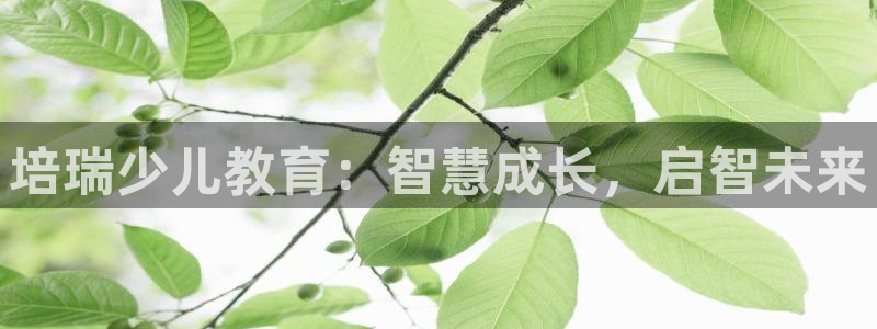 鸿运网上娱乐平台