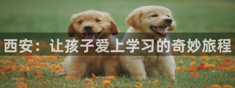 鸿运注册真人平台