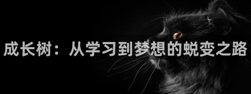 中国鸿运是什么平台