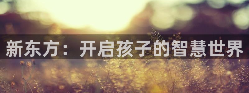 鸿运国际体育平台