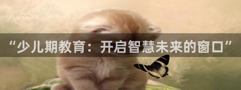 鸿运国际平台平