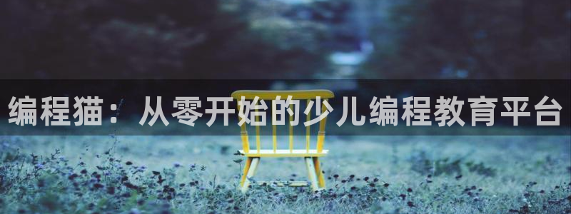 鸿运投资平台是什么