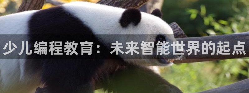 鸿运平台靠谱吗