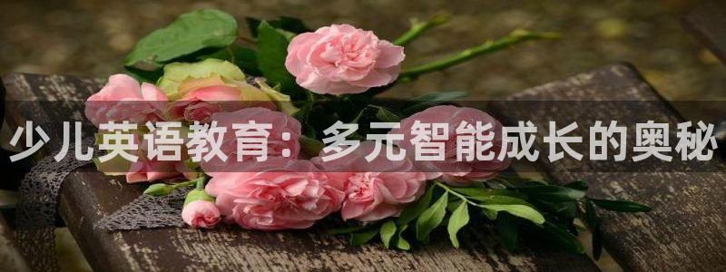 鸿运彩票平台可靠吗
