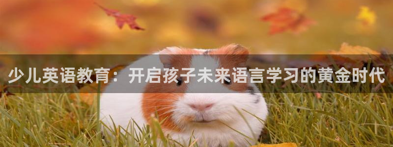 鸿运手机麻将平台