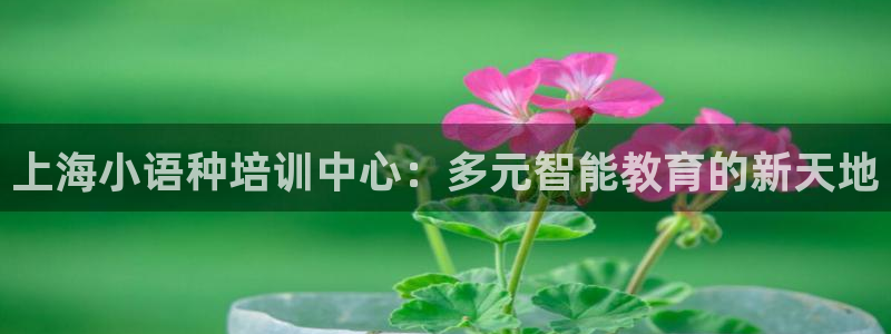 鸿运锦囊是什么平台