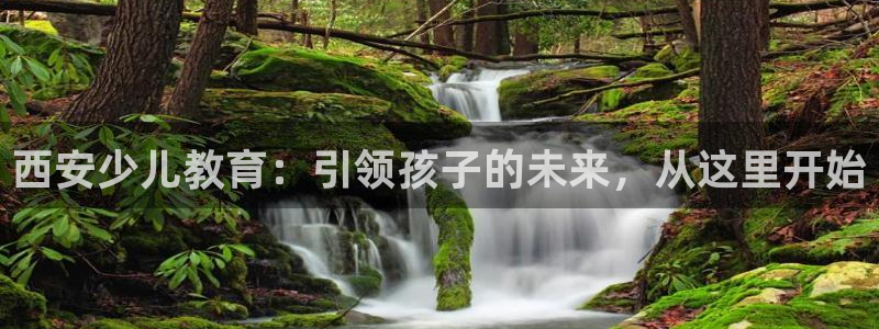 鸿运采购平台的