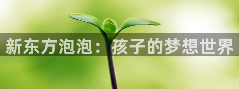 琥珀鸿运平台靠谱吗