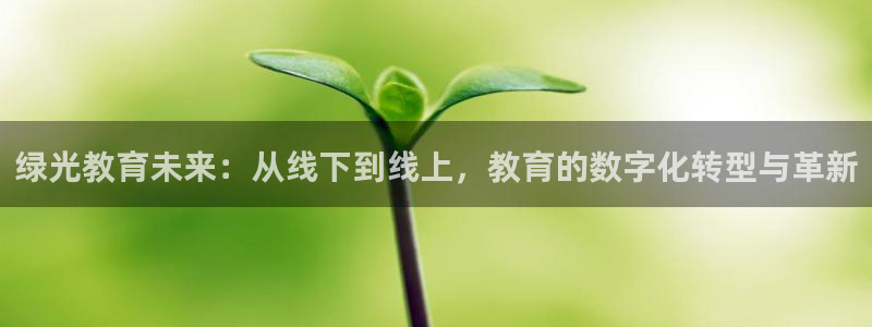 鸿运购平台怎么样