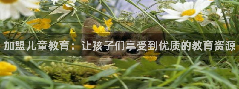 鸿运平台分分彩