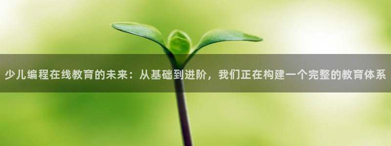 鸿运当头社交平台