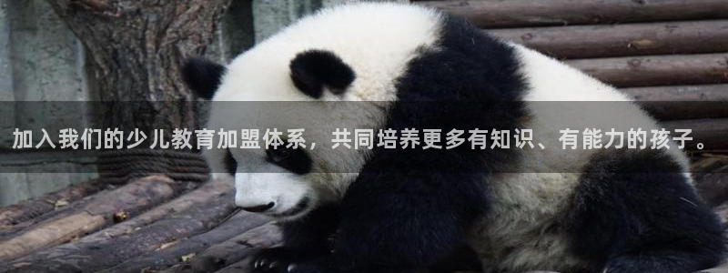 琥珀鸿运是啥平台