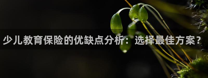 鸿运大发总代理平台