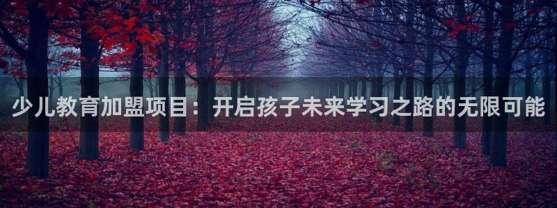 鸿运公司有哪些平台