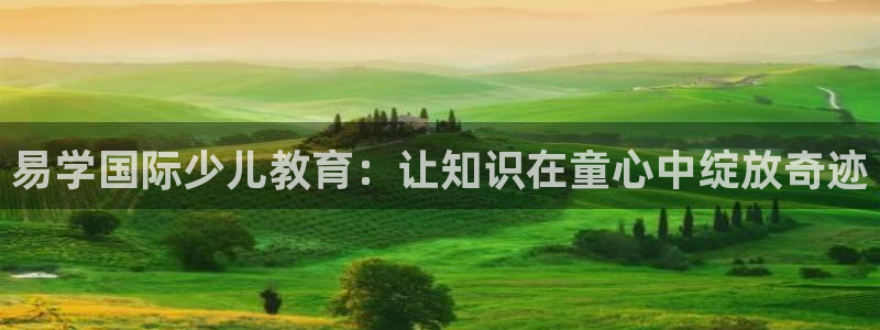 鸿运当头贷款平台