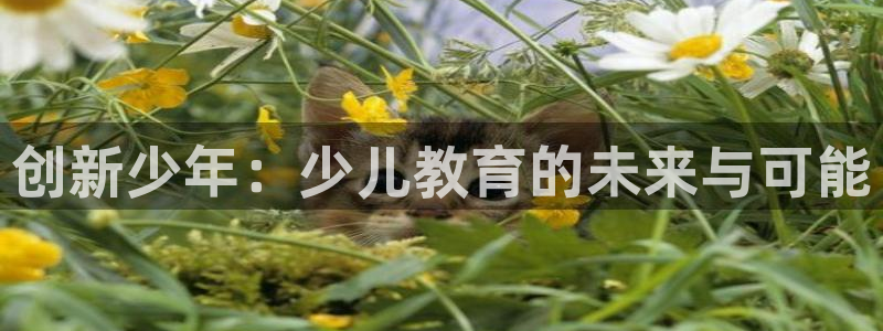 鸿运国际平台登录