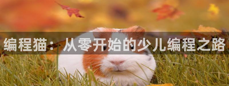 鸿运体育在线平台