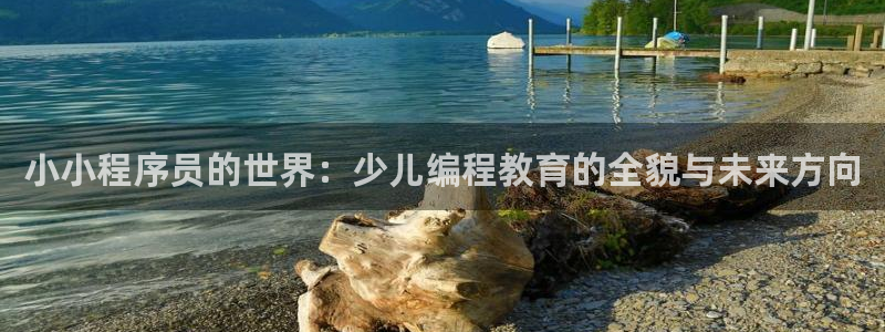 鸿运平台有哪些