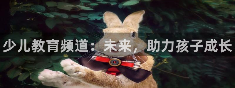 鸿运游戏棋牌平台