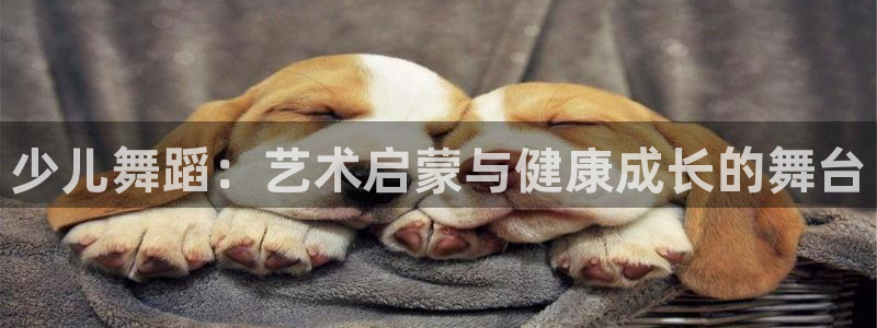 鸿运彩票黑平台