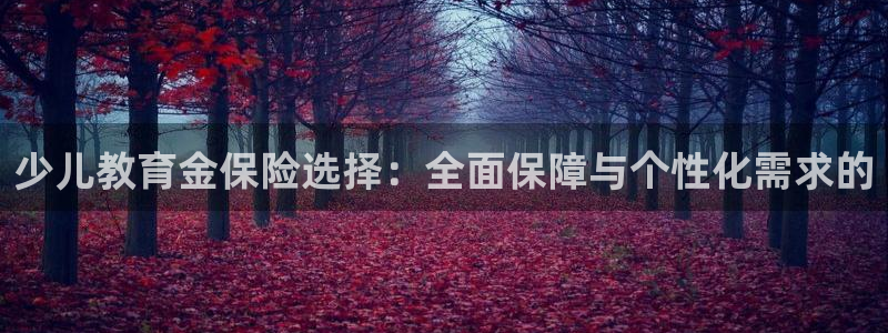 鸿运注册平台闪电