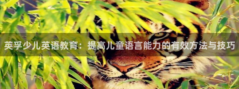鸿运国际彩票平台