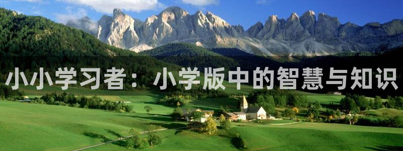鸿运彩票网络平台官网