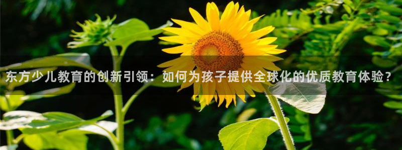鸿运当头平台画