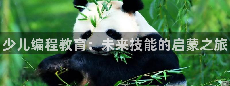 鸿运国际平台网址