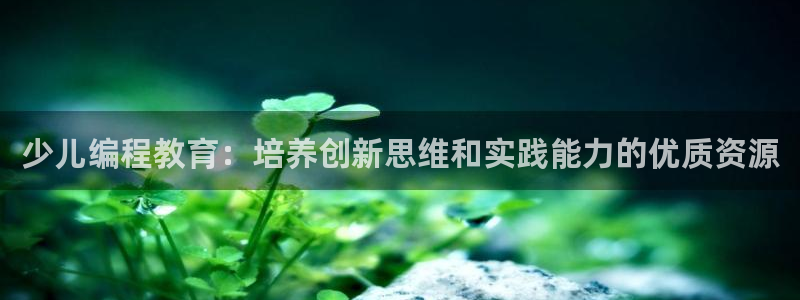 鸿运国际app平台