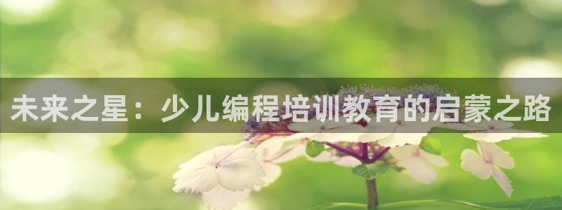 鸿运现场平台开户
