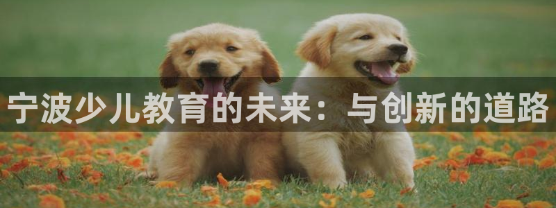 鸿运官方平台