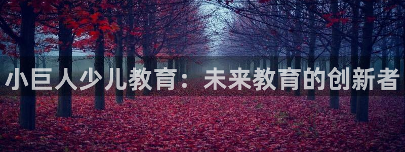 鸿运平台是大平台吗