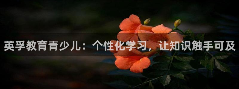 鸿运误乐平台